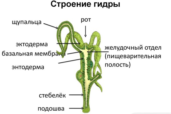 Кракен ссылка kraken