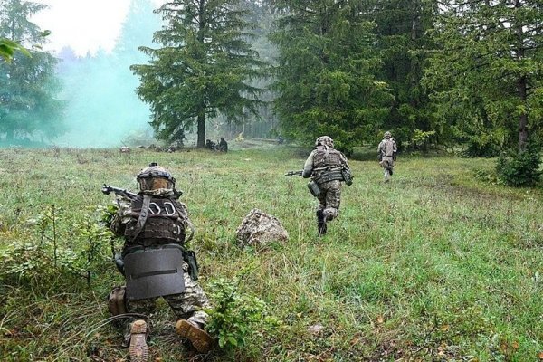 Кракен маркерлейс оф вход