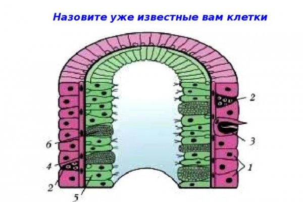 Адрес кракен в тор