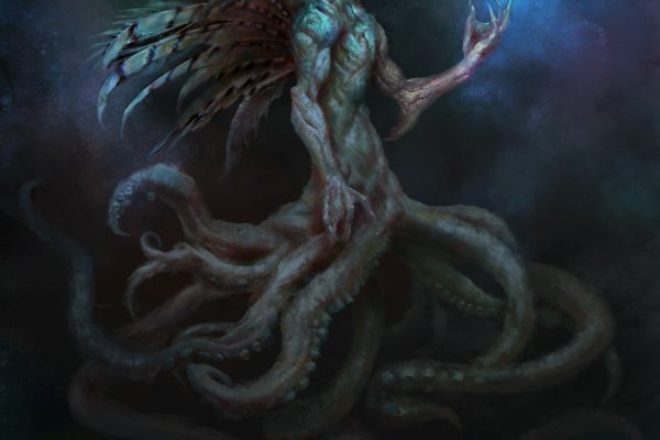 Kraken 20at net