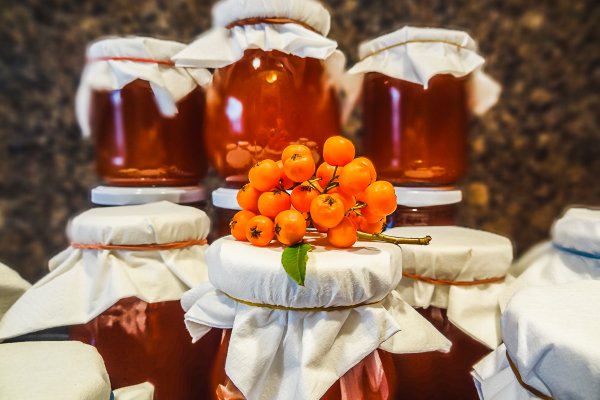 Официальная тор ссылка кракен сайта